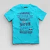 Naanum Valikkaatha Maathiri Evlo Neram Thaan Nadikkirathu Boys Round Neck T-Shirt in SkyBlue Color