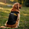 Cornpuff Dog Tank in Black Color