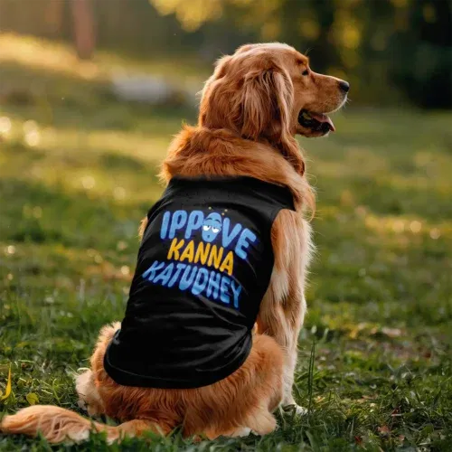 Ippove kanna katudhey dog tank in black color