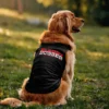 Bleddy Bugger Dog Tank in Black Color