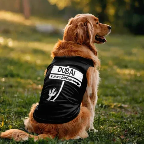 Dubai kuruku sandhu dog tank in black color