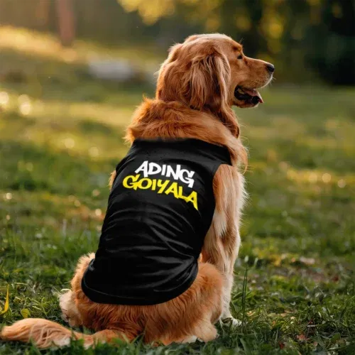 Ading goiyala dog tank in black color