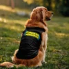 Kundakka Mandakka Dog Tank in Black Color