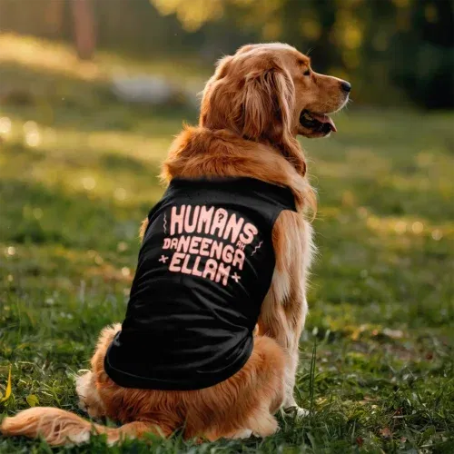 Humans ah da neenga ellam? Dog tank in black color
