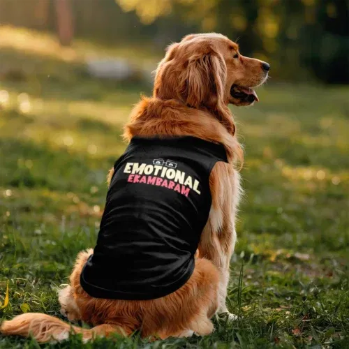 Emotional ekambaram dog tank in black color