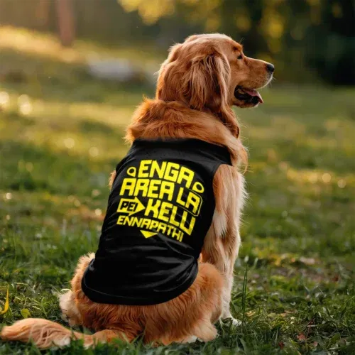 Enga area la pei kelu ennapathi dog tank in black color