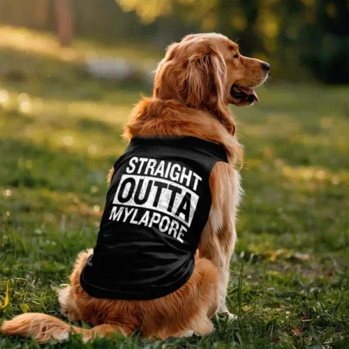 Straight outta mylapore dog tank in black color