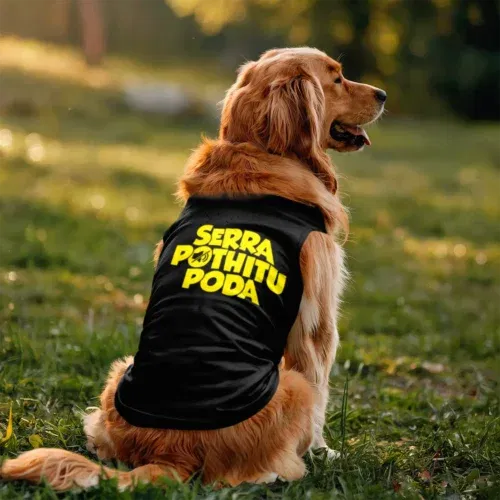 Serra pothitu poda dog tank in black color