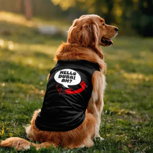 Hello dubai ah? Dog tank in black color