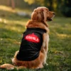 Goiyala Dog Tank in Black Color