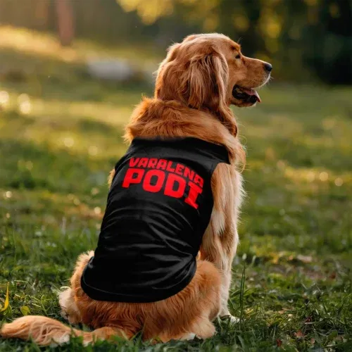 Varalena podi dog tank in black color