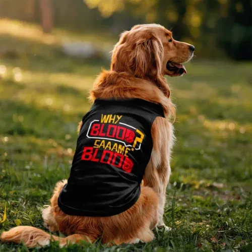 Why blood same blood dog tank in black color