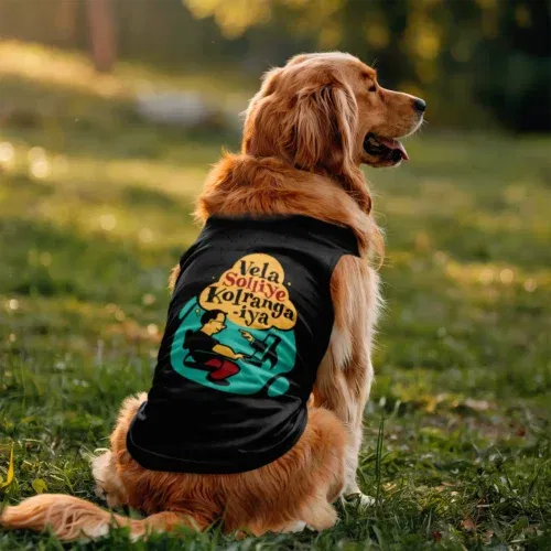 Vela soliye kolrangaiya dog tank in black color