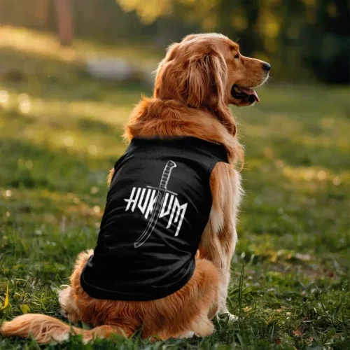 Hukum dog tank in black color