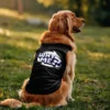 Why me? Dog Tank in Black Color