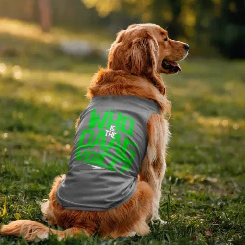 Who is the daag voice dog tank in grey melange color