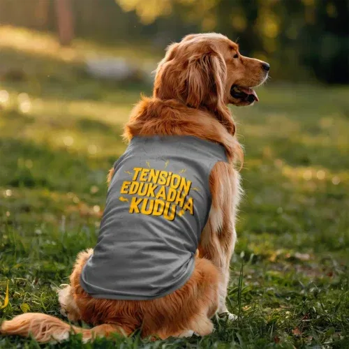 Tension edukadha kudu dog tank in grey melange color