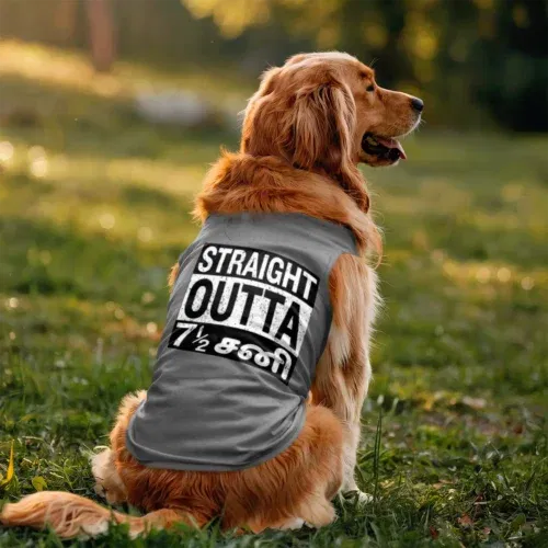 Straight outta 7½ sani - tamil dog tank in grey melange color