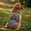 Bada Bejaara Pochu Ungakuda Dog Tank in Grey Melange Color