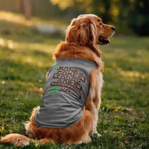 Money comes today goes tomorrow ya dog tank in grey melange color