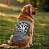 Straight Outta Royapuram Dog Tank in Grey Melange Color