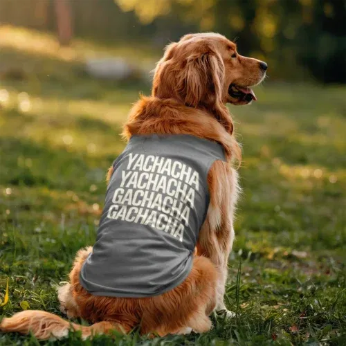 Yachacha yachacha, gachacha gachacha dog tank in grey melange color