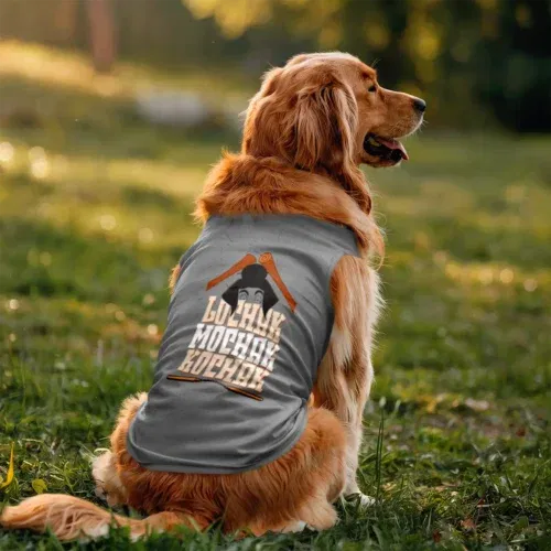 Lochak mochak kochak dog tank in grey melange color
