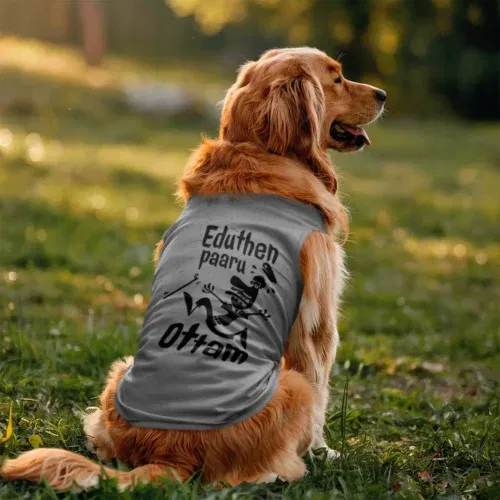 Eduthen paaru ottam dog tank in grey melange color