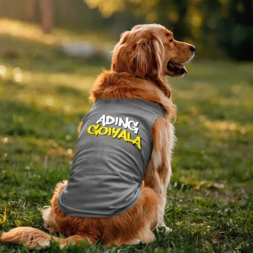 Ading goiyala dog tank in grey melange color
