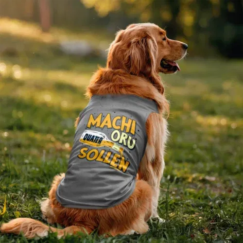 Machi oru quater sollen dog tank in grey melange color