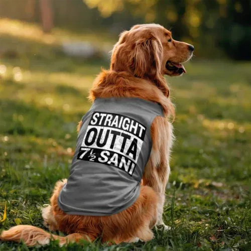 Straight outta sani - english dog tank in grey melange color