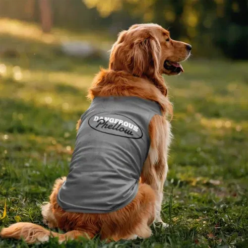 Dangerous phellow dog tank in grey melange color