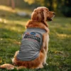 Encounter Ekambaram Dog Tank in Grey Melange Color