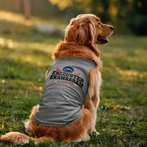 Encounter ekambaram dog tank in grey melange color