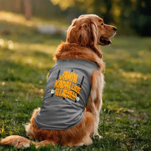 Jamin, kadal laye illayam dog tank in grey melange color