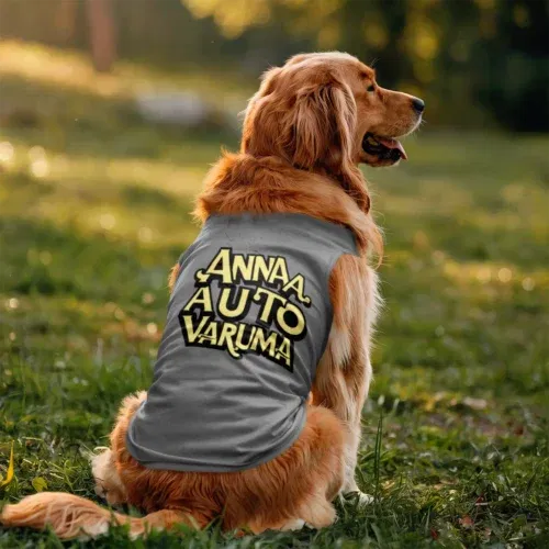 Anna auto varuma dog tank in grey melange color