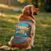 Naanga Traffic And Lovu La Matta Mattom Dog Tank in Grey Melange Color