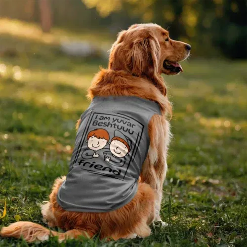 Iam yuvar best friend dog tank in grey melange color