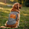 Arasiyal La Idhellam Saadharnamappa Dog Tank in Grey Melange Color