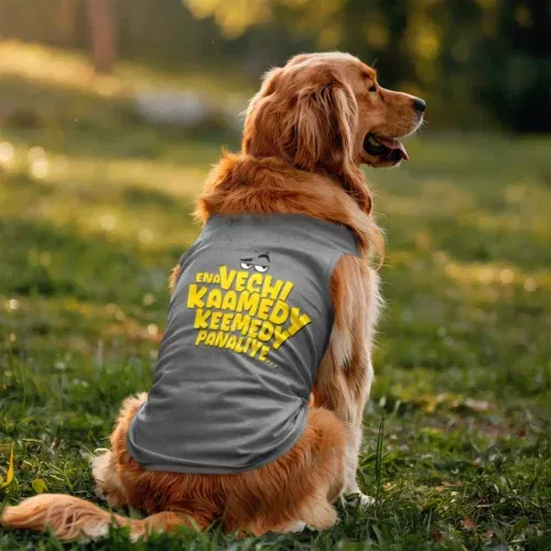 Ena vechi kaamedy keemady panaliye dog tank in grey melange color