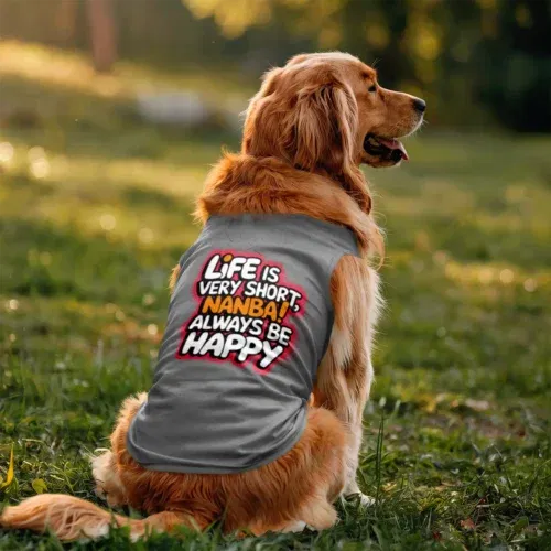 Life is very short nanba dog tank in grey melange color