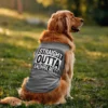 Straight Outta Andhra Mess Dog Tank in Grey Melange Color