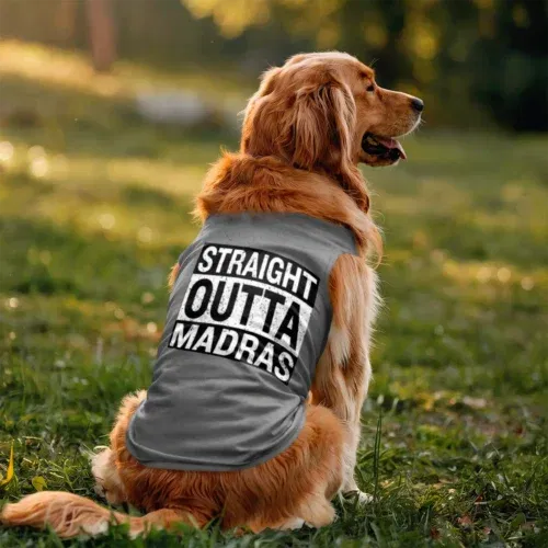 Straight outta madras dog tank in grey melange color