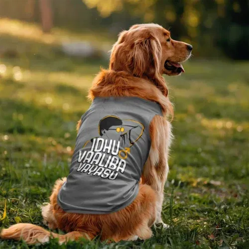 Idhu vaaliba vayasu dog tank in grey melange color