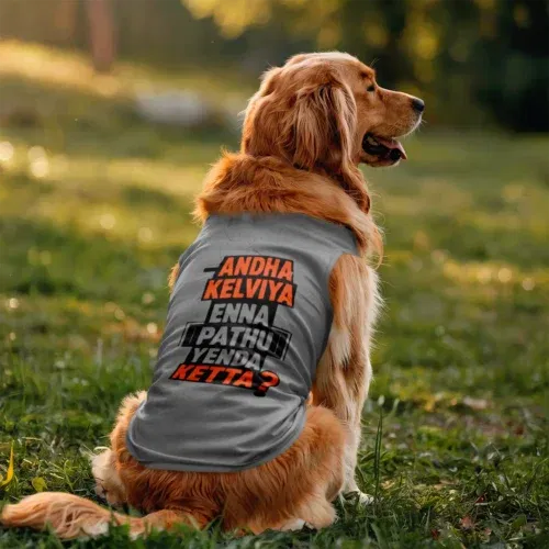 Andha kelviya enna pathu yenda ketta dog tank in grey melange color