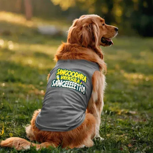 Sangoodhara vayasula sangeeetha dog tank in grey melange color