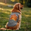 Ade Apprecentingala Dog Tank in Grey Melange Color
