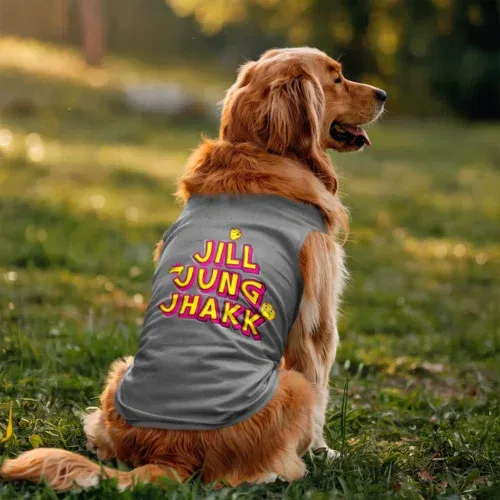Jill jung jhakk dog tank in grey melange color