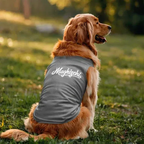 Maghizchi dog tank in grey melange color
