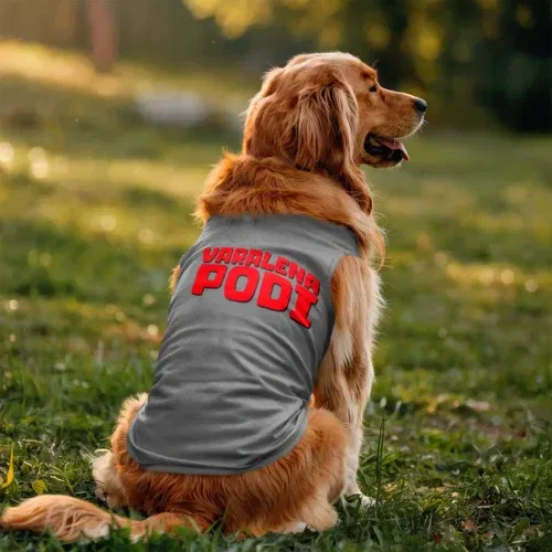 Varalena podi dog tank in grey melange color